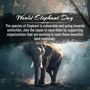 World Elephant Day