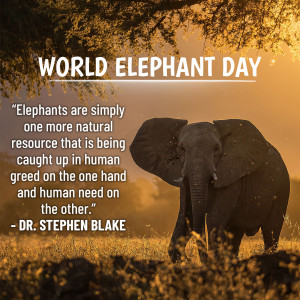 World Elephant Day