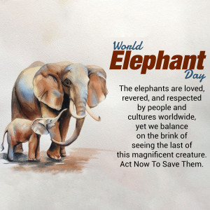 World Elephant Day
