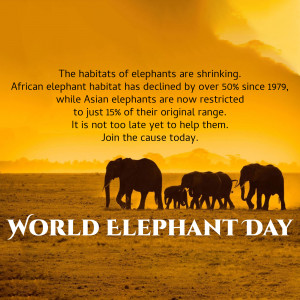 World Elephant Day