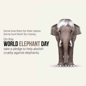 World Elephant Day