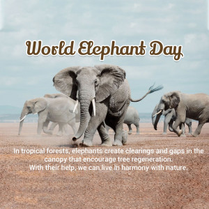 World Elephant Day
