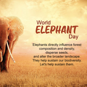 World Elephant Day