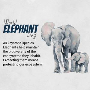 World Elephant Day