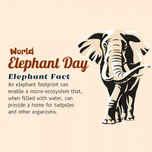 World Elephant Day