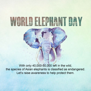 World Elephant Day