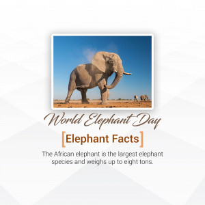 World Elephant Day