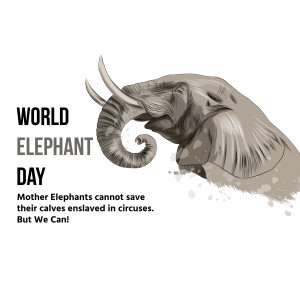 World Elephant Day