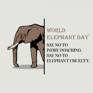 World Elephant Day