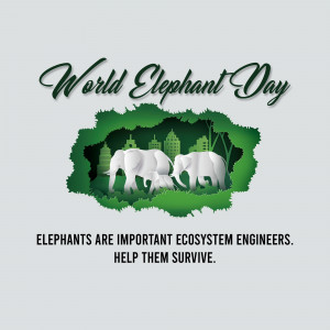 World Elephant Day