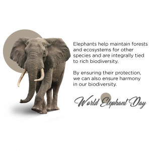 World Elephant Day