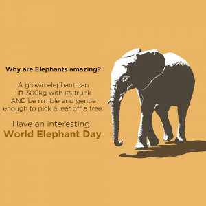 World Elephant Day