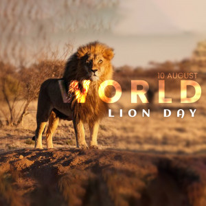 World Lion Day