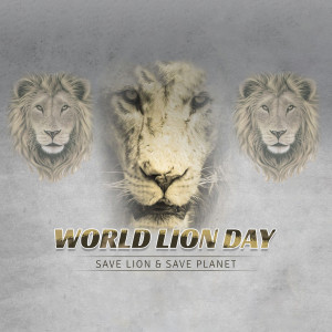World Lion Day