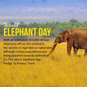 World Elephant Day