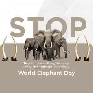 World Elephant Day