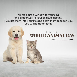 World Animal Day