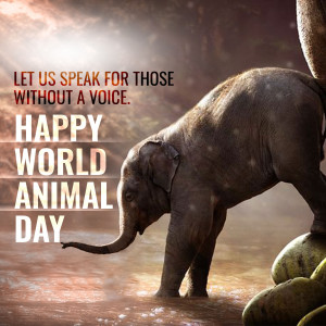 World Animal Day