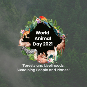 World Animal Day