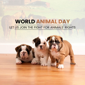 World Animal Day