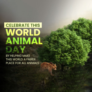 World Animal Day