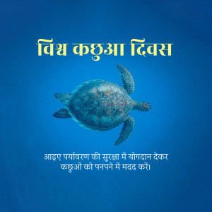 World Turtle Day