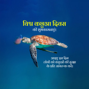 World Turtle Day