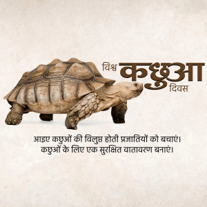 World Turtle Day
