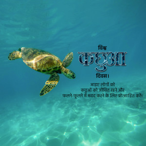 World Turtle Day