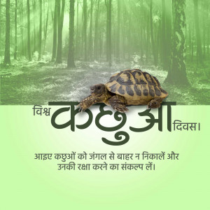 World Turtle Day