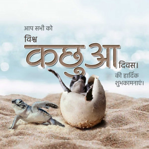 World Turtle Day
