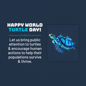 World Turtle Day