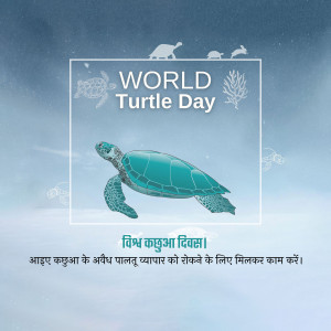 World Turtle Day