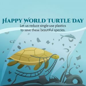 World Turtle Day