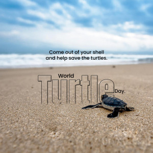 World Turtle Day