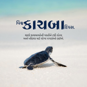 World Turtle Day