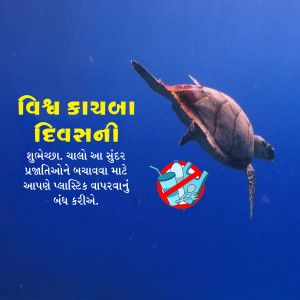 World Turtle Day