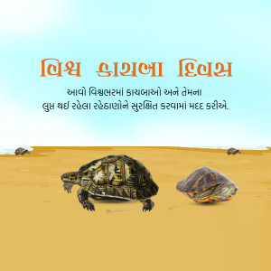 World Turtle Day