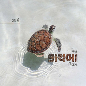 World Turtle Day
