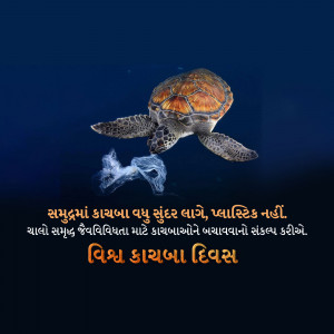 World Turtle Day