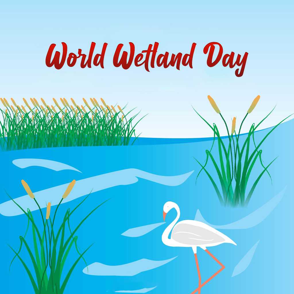 World Wetlands Day