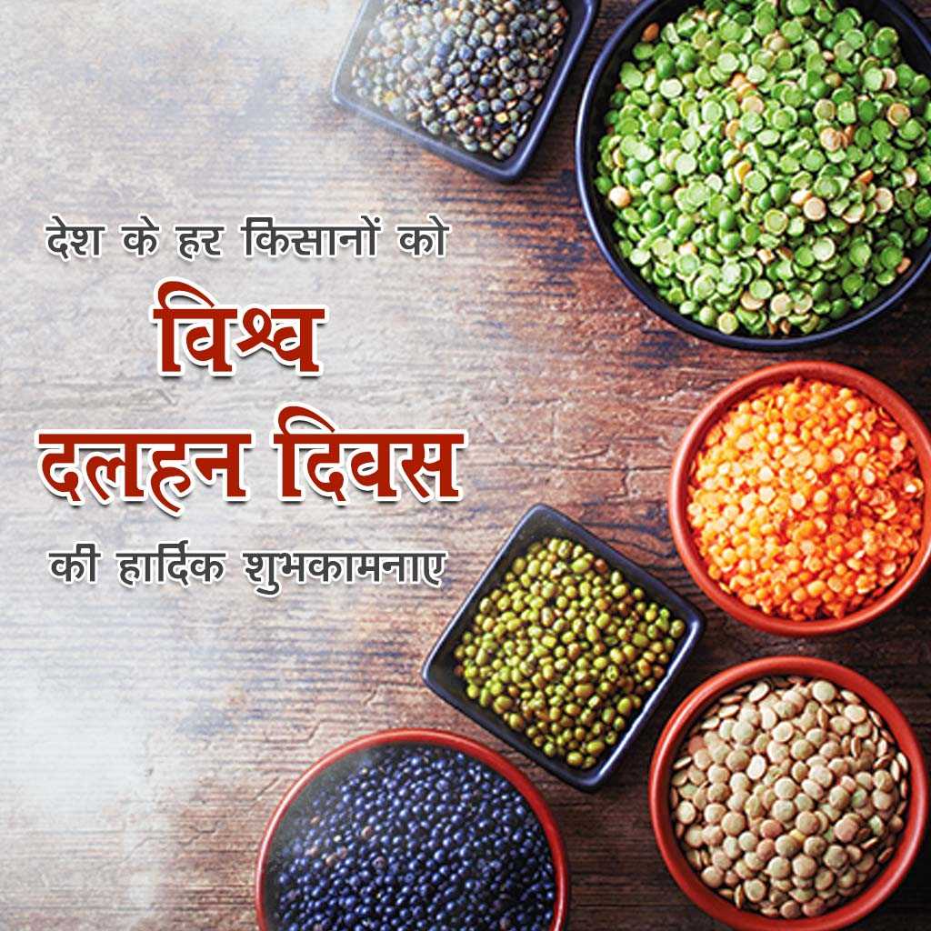 World Pulses Day