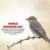 World Sparrow Day