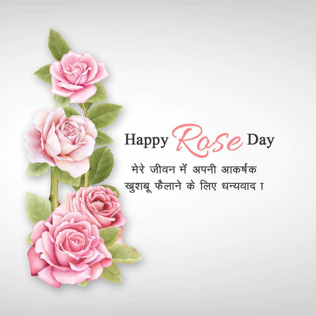 Rose Day