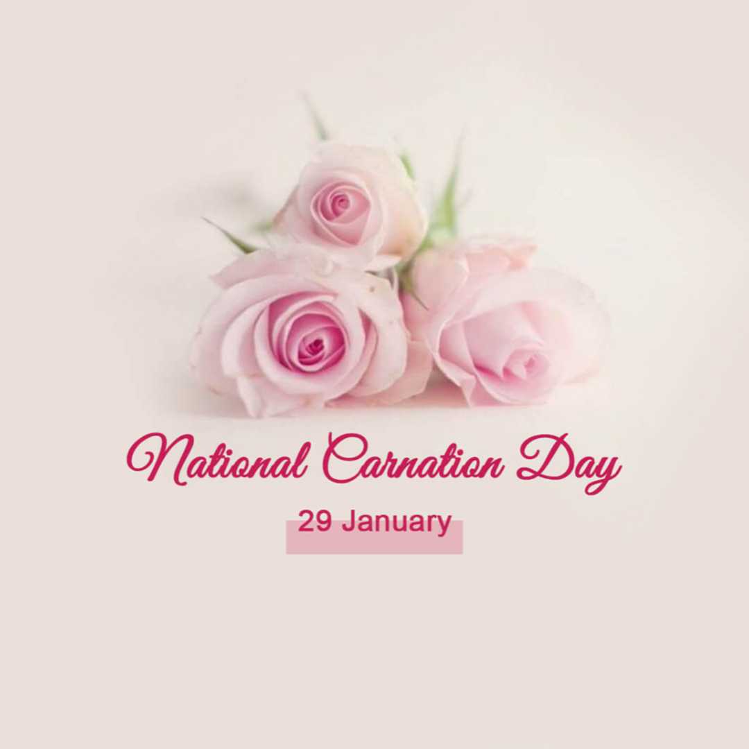Carnation Day