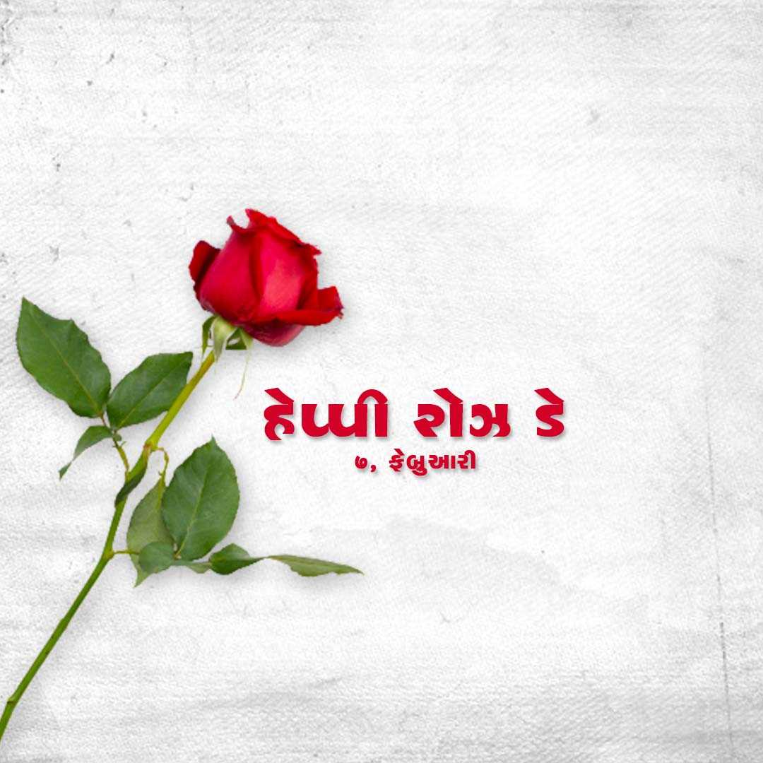 Rose Day