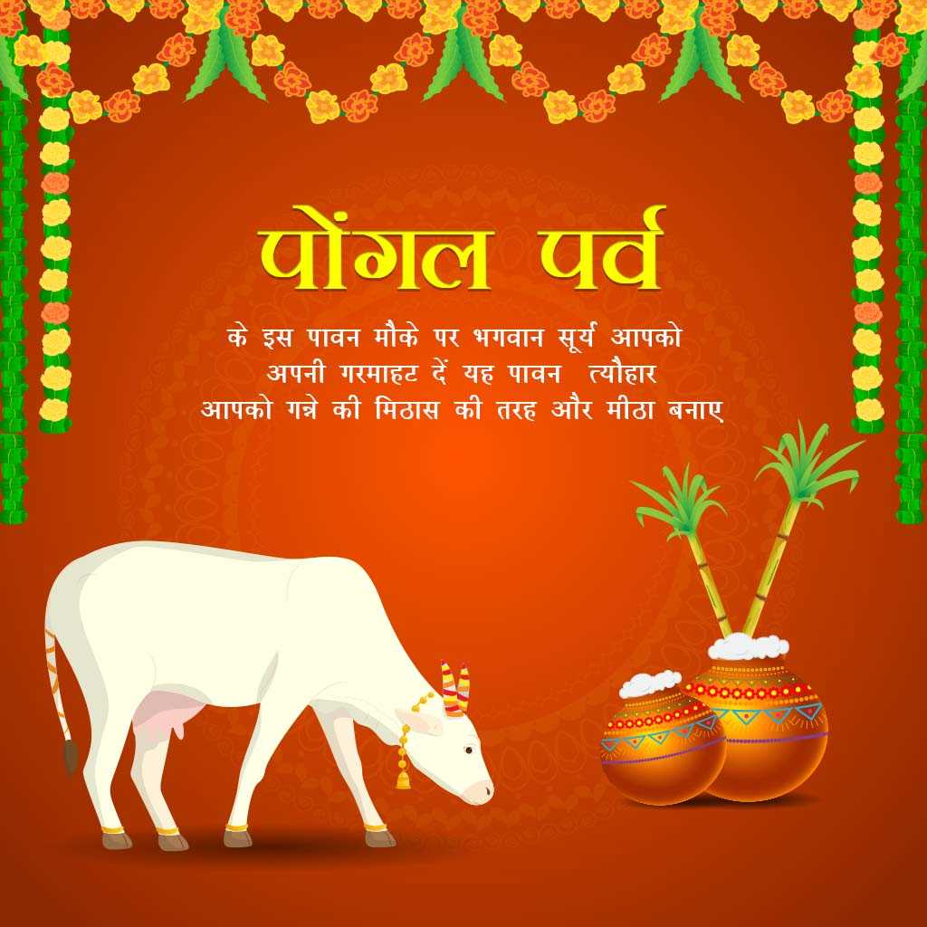 Pongal