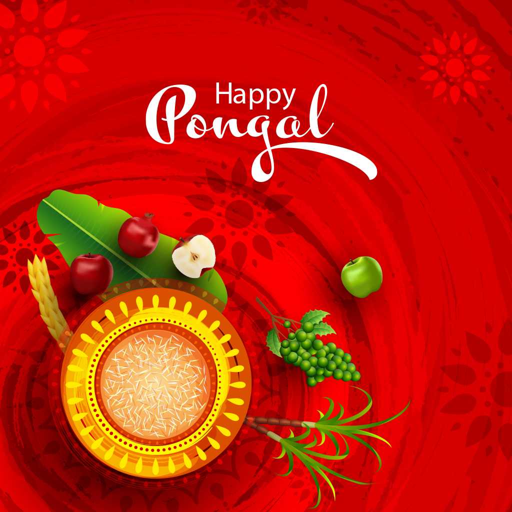Pongal