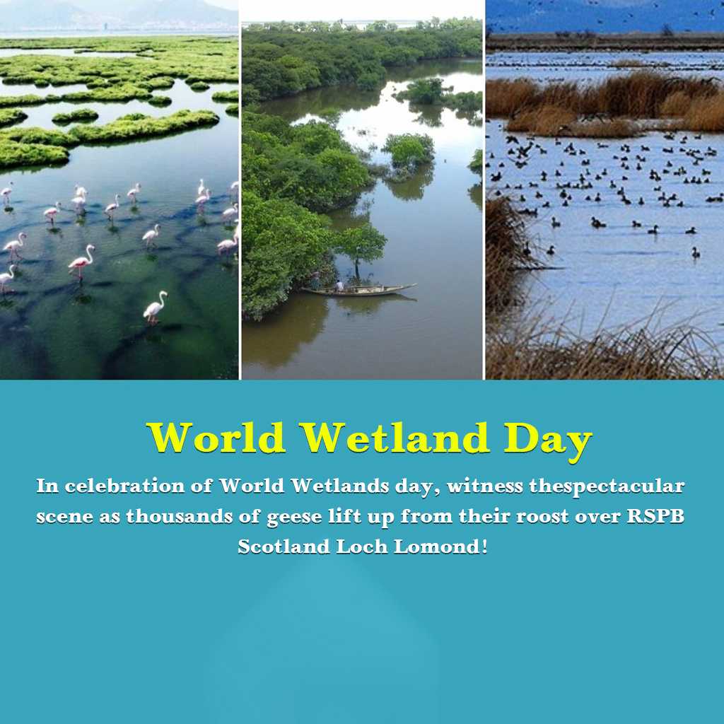 World Wetlands Day
