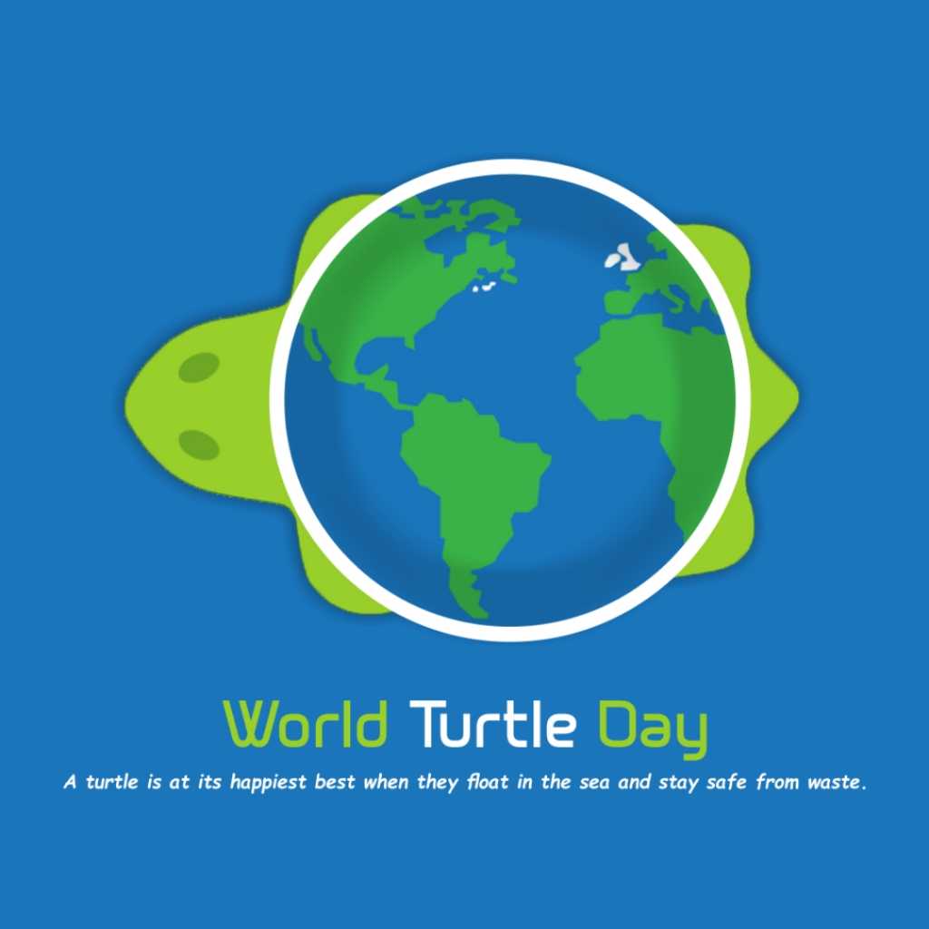 World Turle Day